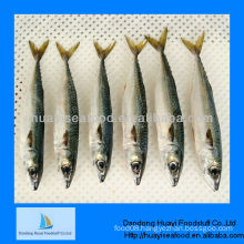 frozen seafood spanish mackerel